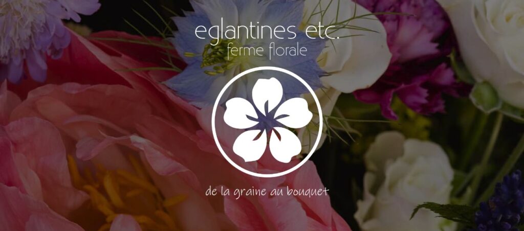 Des fleurs locales en Alsace, 100% bio et éthique, cultivées puis sublimées avec amour !